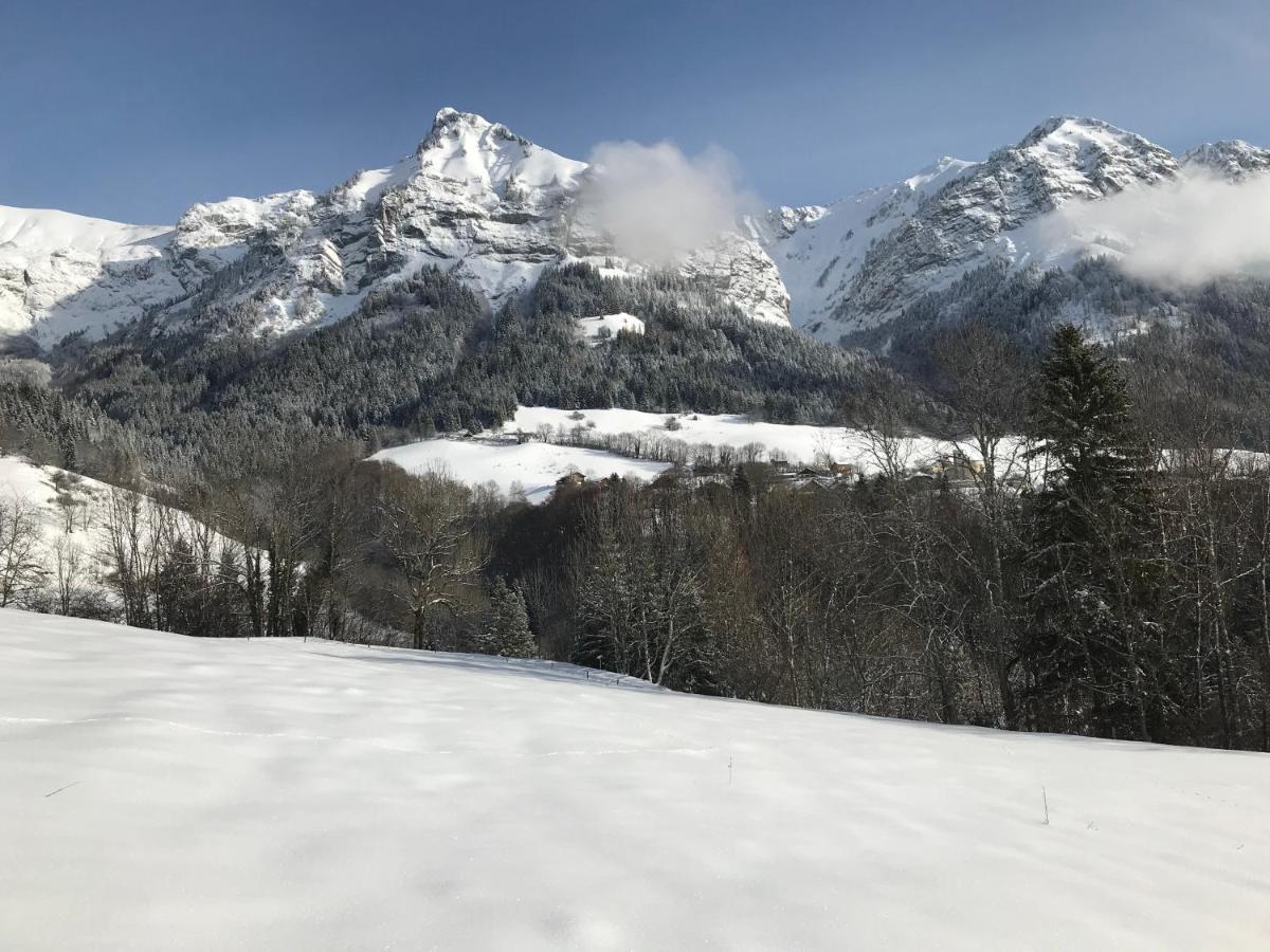 Magnifique T3 Entre Lac Et Montagne Pres D'Annecy Montmin Dış mekan fotoğraf
