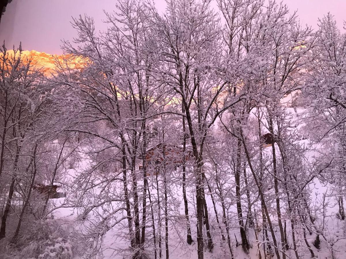 Magnifique T3 Entre Lac Et Montagne Pres D'Annecy Montmin Dış mekan fotoğraf